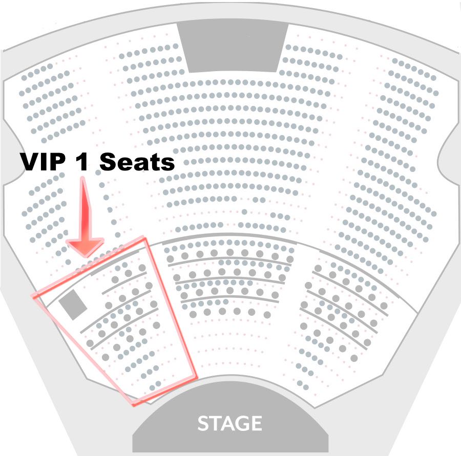 Shin Lim VIP 1 Seating Chart