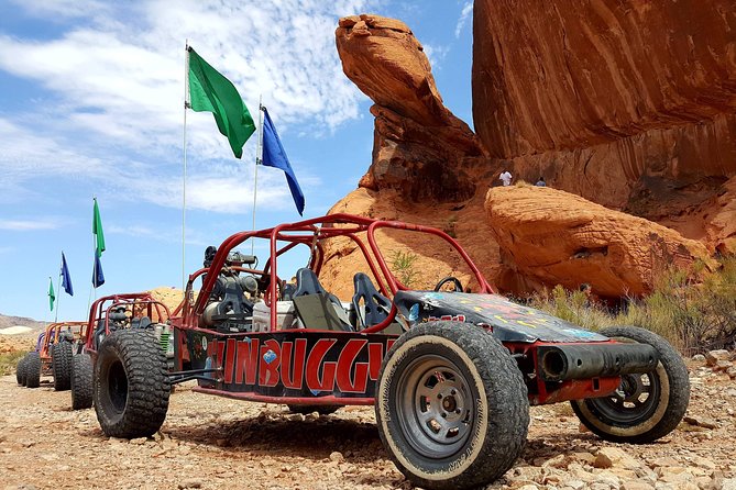 dune buggy tour near me